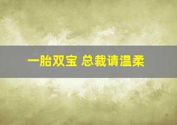 一胎双宝 总裁请温柔